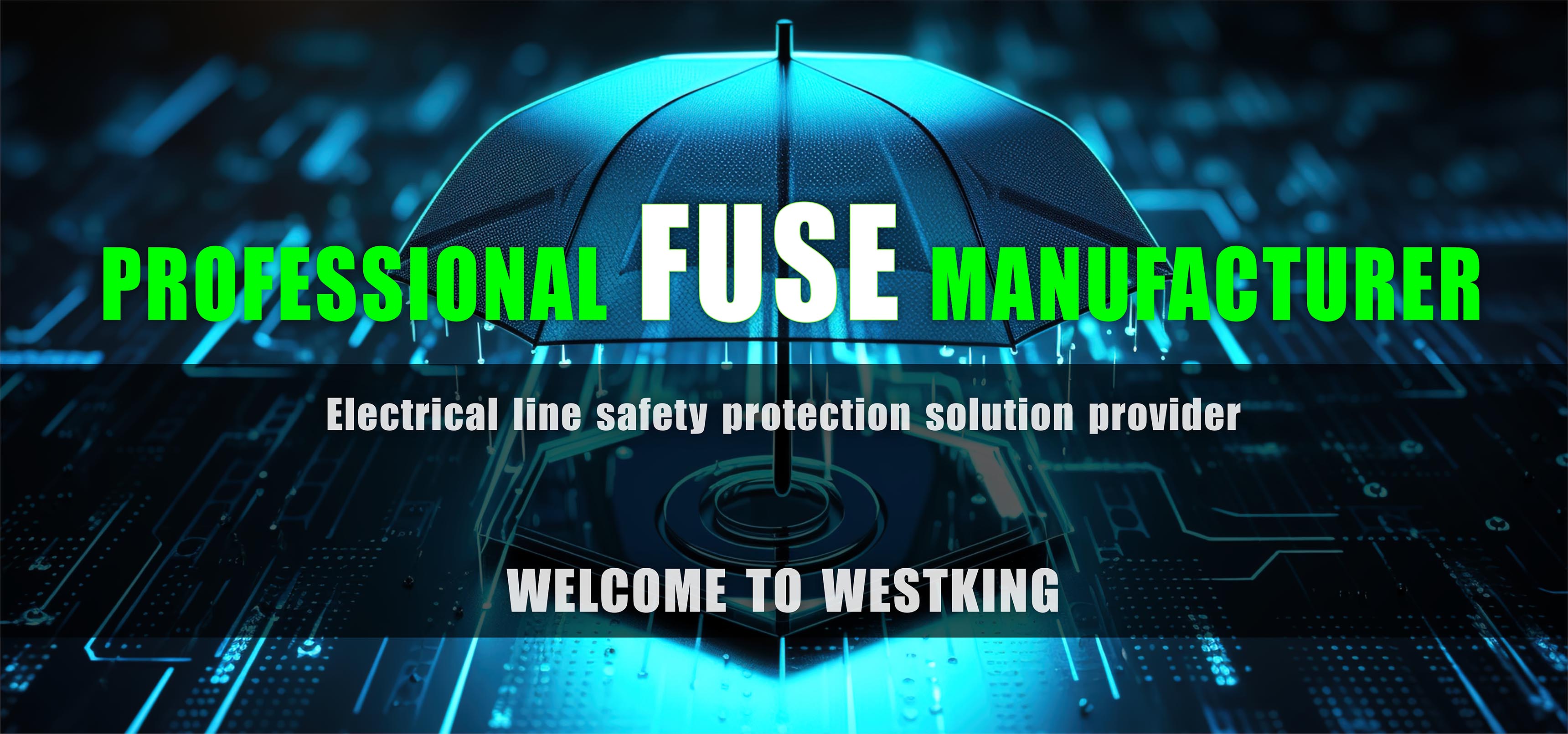 China High Speed ​​Fuse